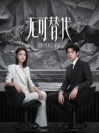 无可替代电视剧免费完整版在线观看